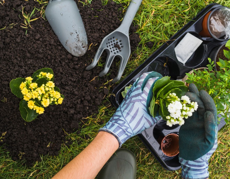 Création et aménagement de jardin