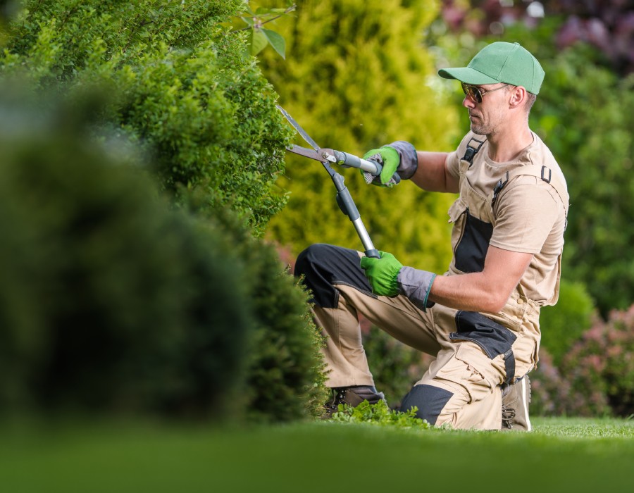 Entretien jardin et espace vert