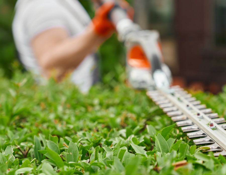 Entretien jardin et espace vert